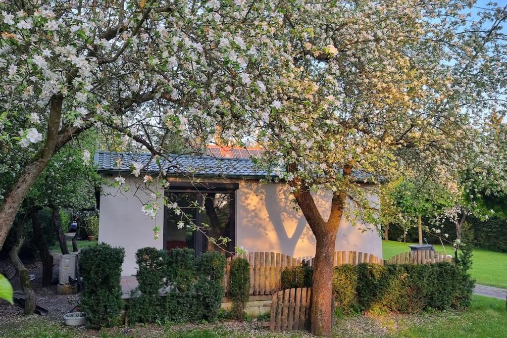 Pod Jablonia Βίλα Μπίντγκοστς Εξωτερικό φωτογραφία